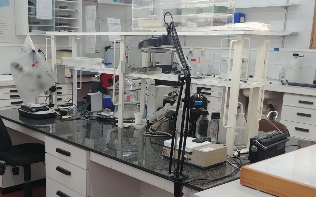 Laboratorio de preparación de muestras Cryo